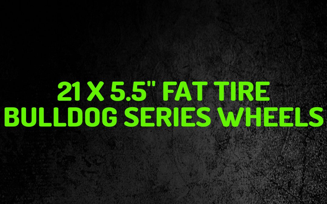 21x5.5" Fat Tire BullDog Series Wheels